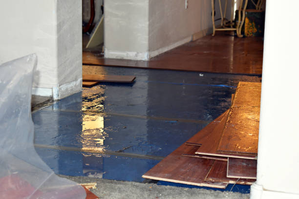 Professional Water Extraction technician working in Miamiville, OH